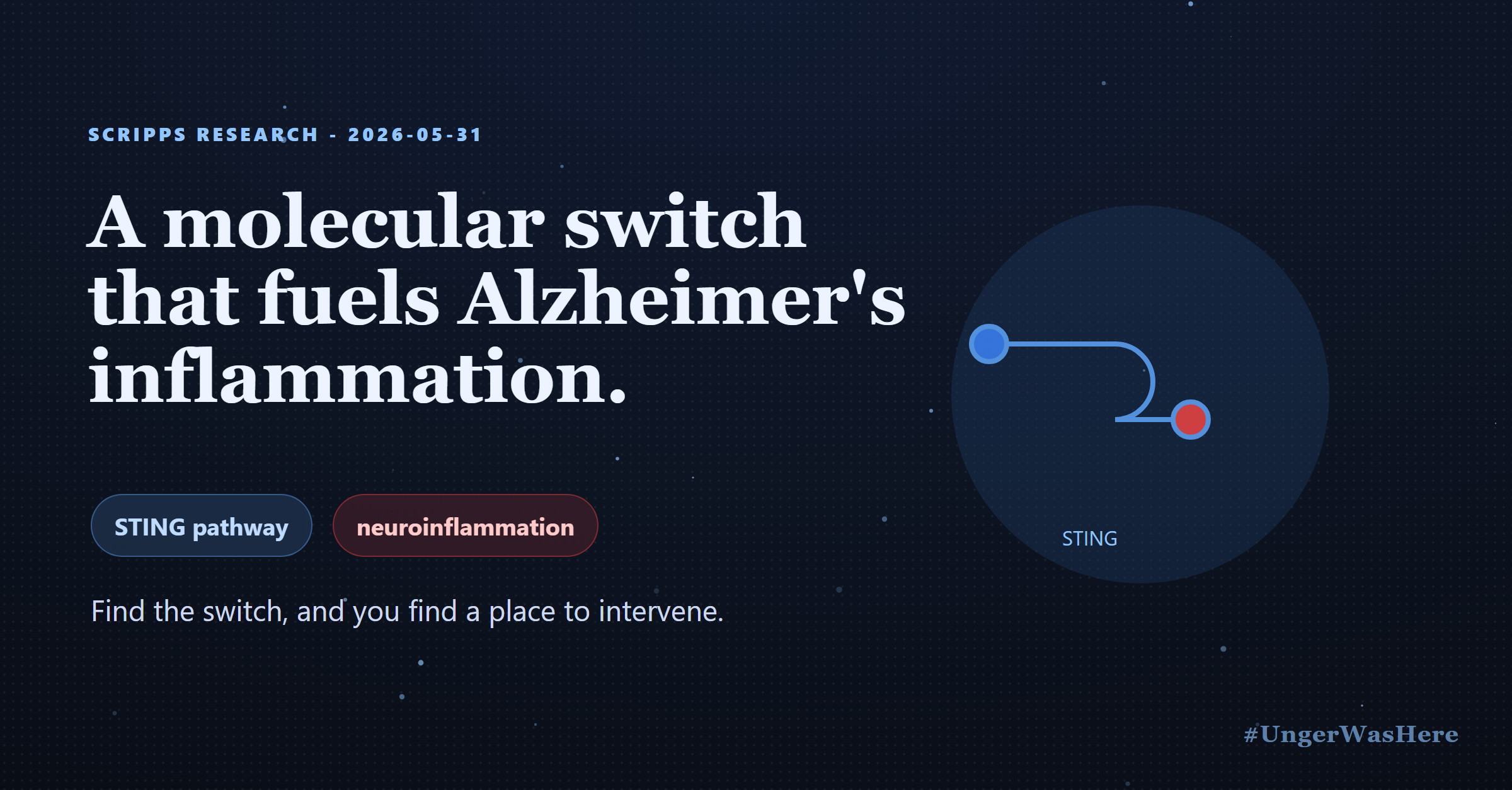 A molecular switch called STING fuels Alzheimer's inflammation