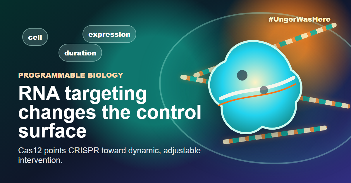 DNA-guided CRISPR-Cas12 for cellular RNA targeting