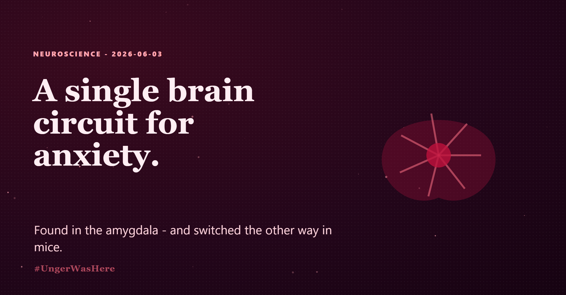 Scientists identify and reverse an amygdala circuit that drives anxiety
