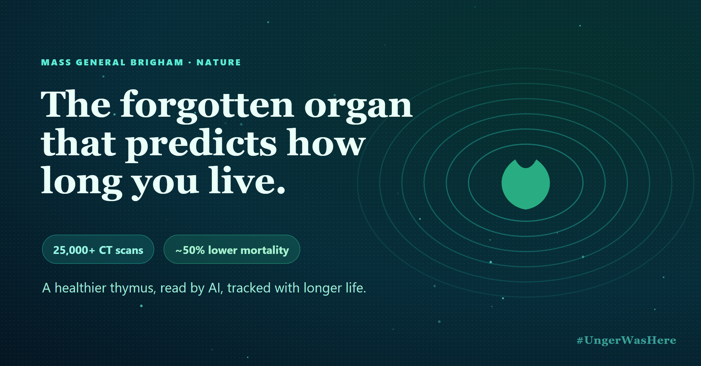 The Forgotten Organ That Could Predict How Long You Live