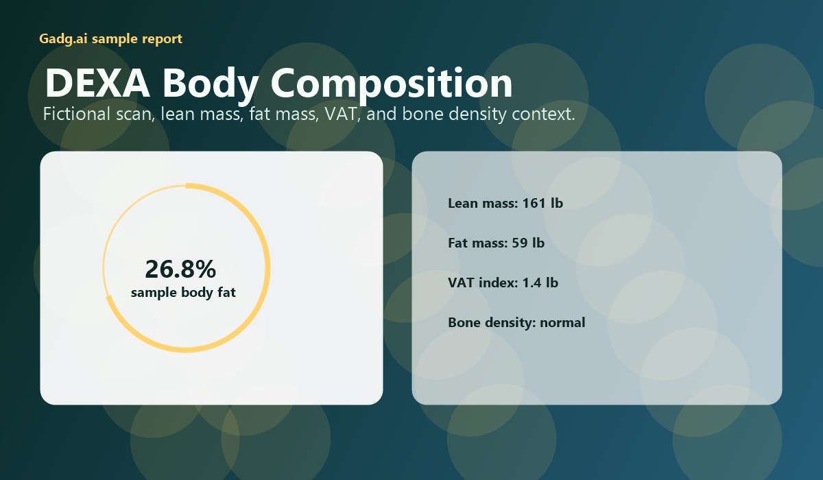 DEXA body composition visual dashboard for Marcus Hale